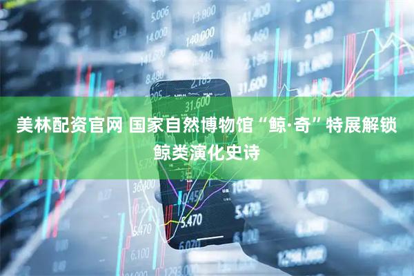 美林配资官网 国家自然博物馆“鲸·奇”特展解锁鲸类演化史诗