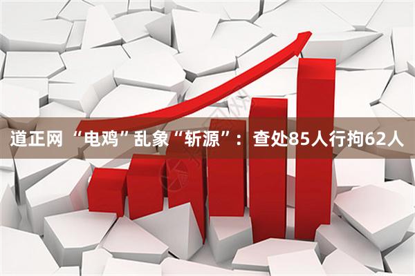 道正网 “电鸡”乱象“斩源”：查处85人行拘62人