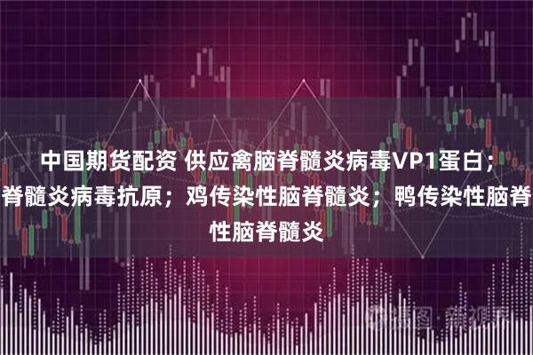 中国期货配资 供应禽脑脊髓炎病毒VP1蛋白；禽脑脊髓炎病毒抗原；鸡传染性脑脊髓炎；鸭传染性脑脊髓炎